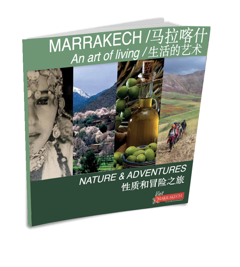CONSEIL REGIONAL DU TOURISME DE MARRAKECH